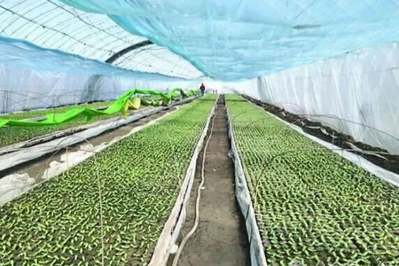 �ؖ|����M(j��n)���P(gu��n)�I���o(h��)�� 4����Ѯ�ɓ����r������