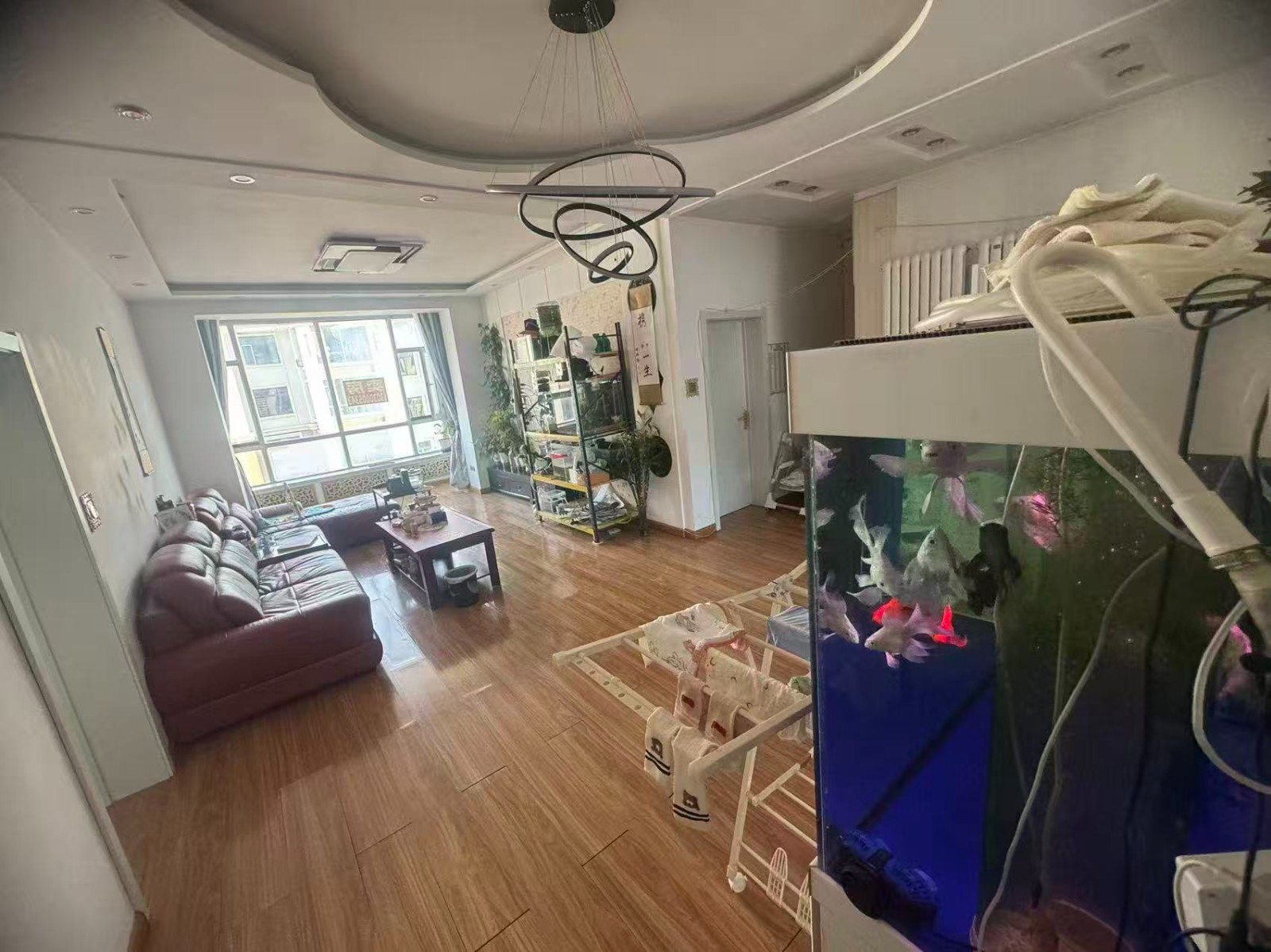 �J�r�ˣ���ī�E��