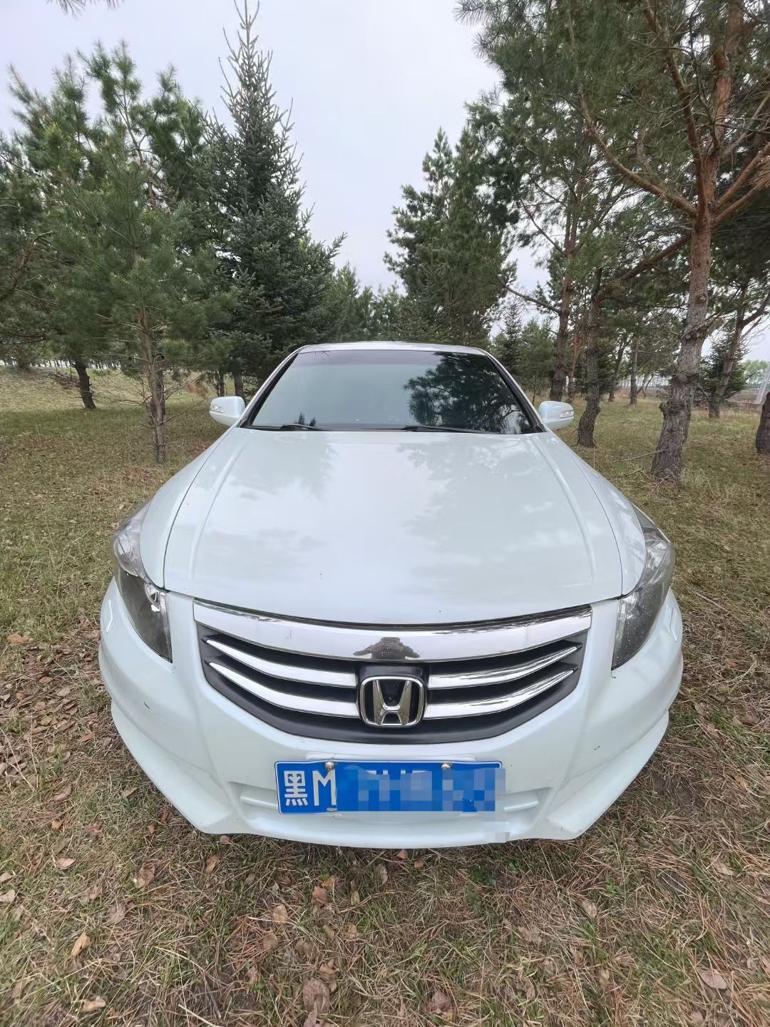 ���w�˴�2.4���f�o��